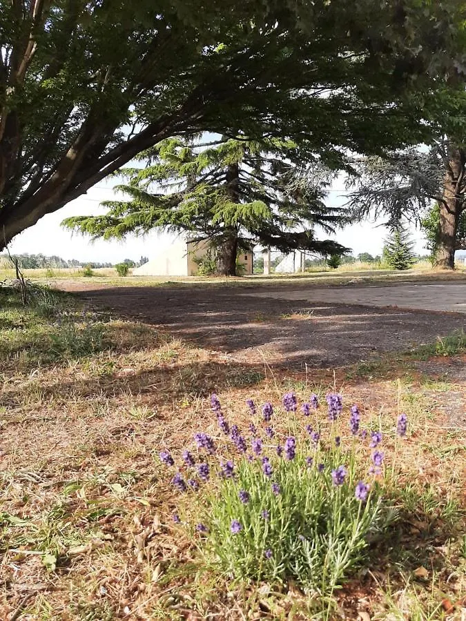 Bienvenue Au Gite De Mornas Beaumont-les-Valence Apartment